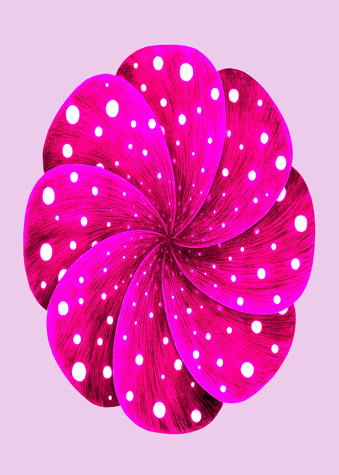 Colour Vision ( Vertical - Magenta)
