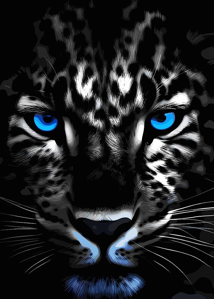 Black Leopard with Blue Eyes Portrait