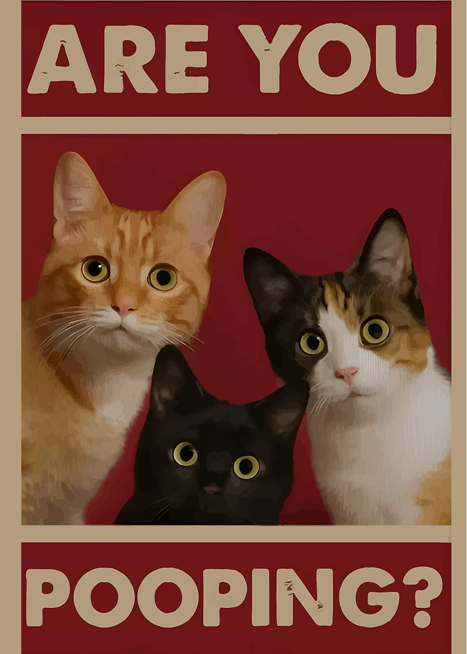 Are You Pooping? Cats Poster