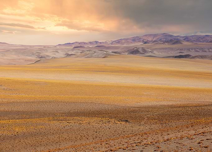 Whispers of the High Desert
