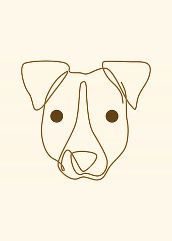 Jack Russell