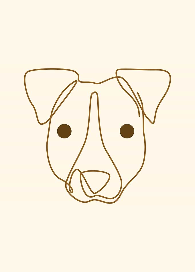Jack Russell