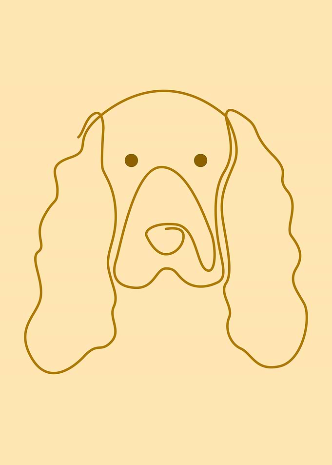 COCKER SPANIEL
