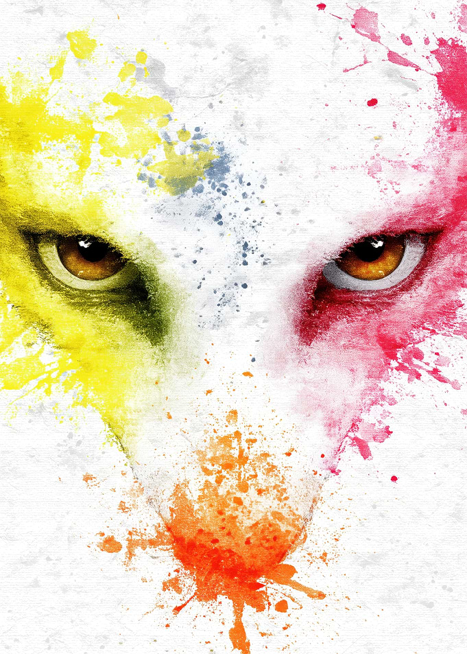 Abstract Wolf Face with Color Splashes