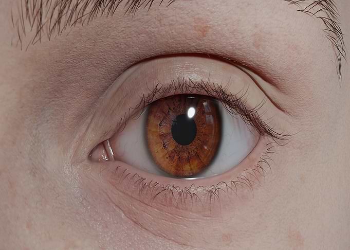 Close-up of a Brown Human Eye