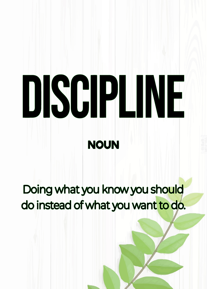 Discipline Definition