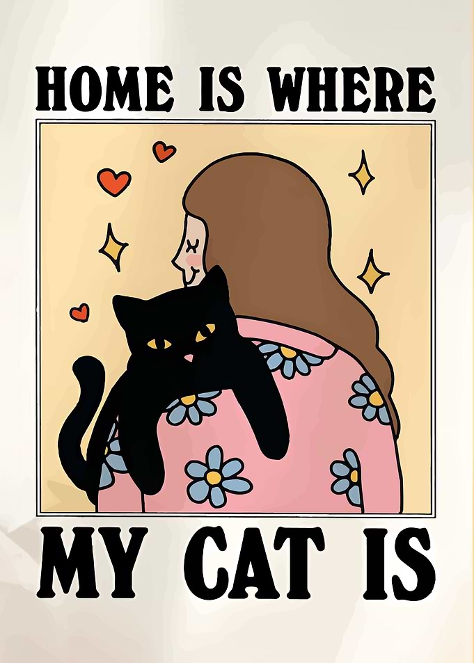Home is Where My Cat Is