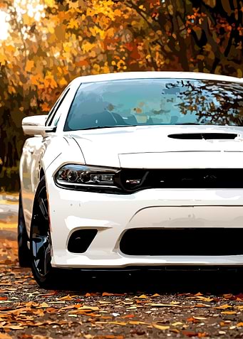 White Car in Autumn Leaves
