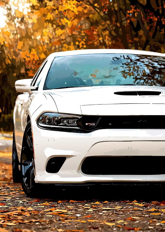 White Car in Autumn Leaves