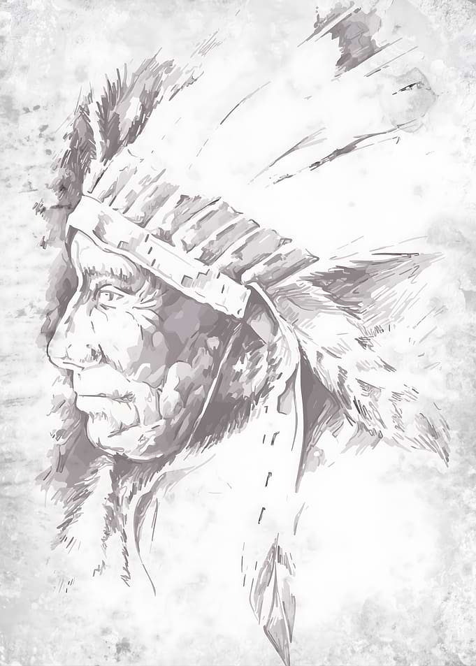 Native American Chief Portrait