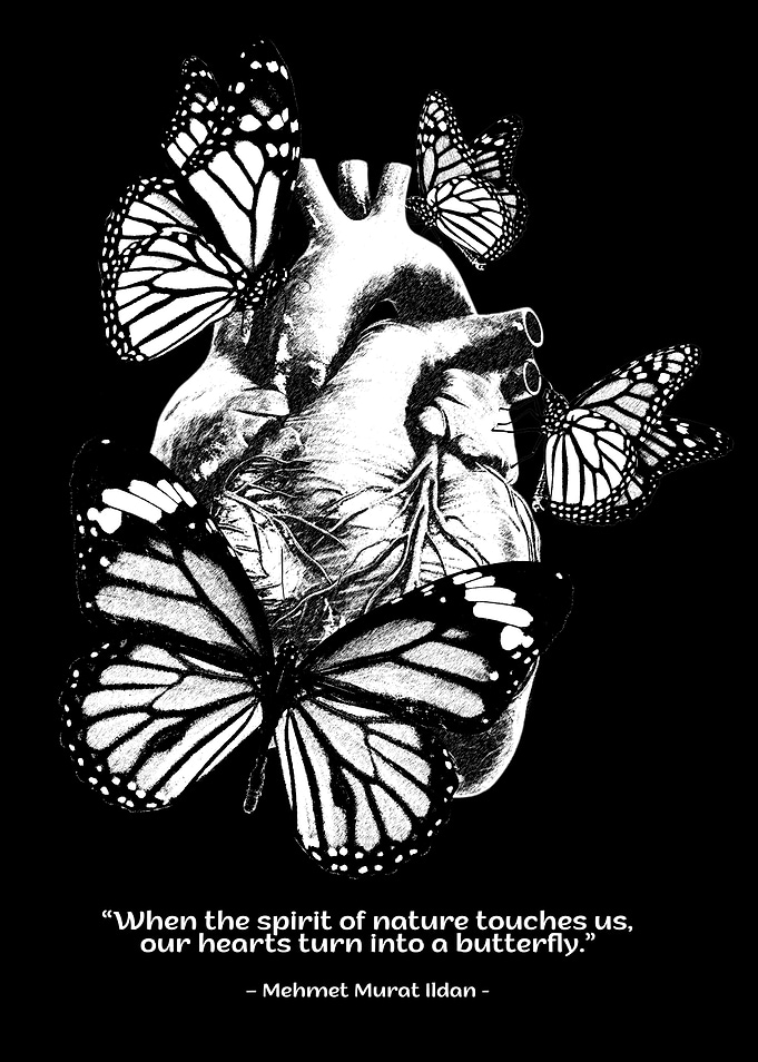 Heart and Butterflies Black and White