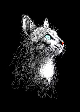 Abstract Cat Portrait with Blue Eyes