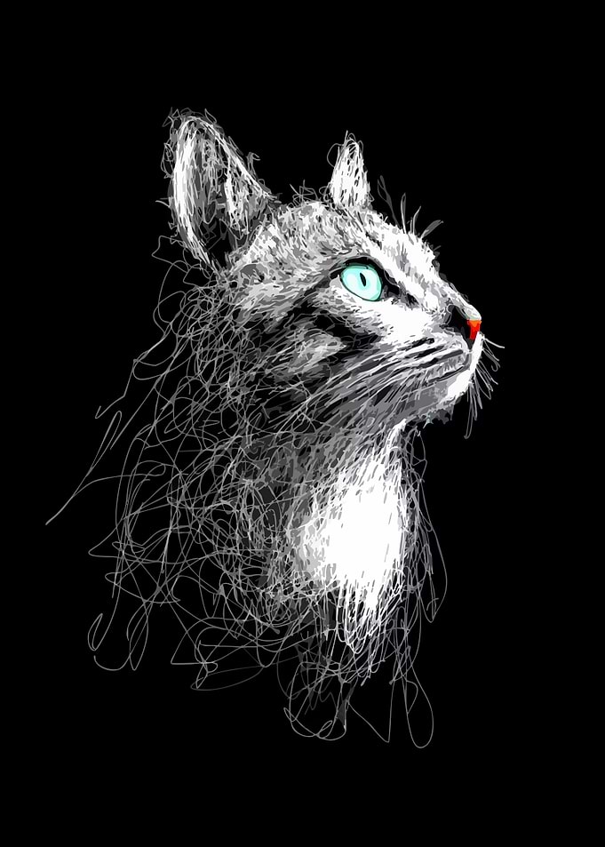 Abstract Cat Portrait with Blue Eyes