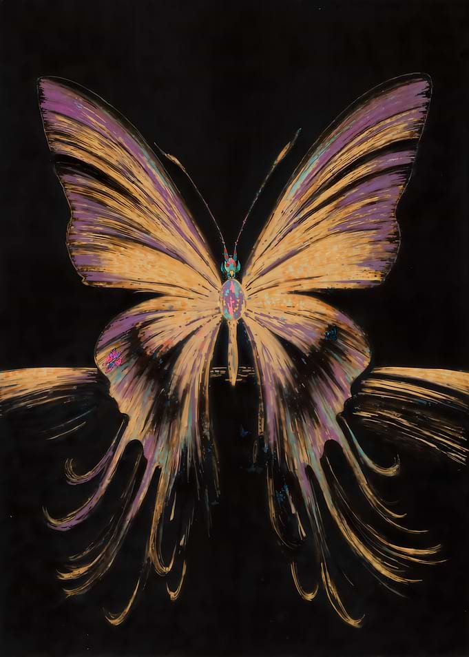 Butterfly on Black Background