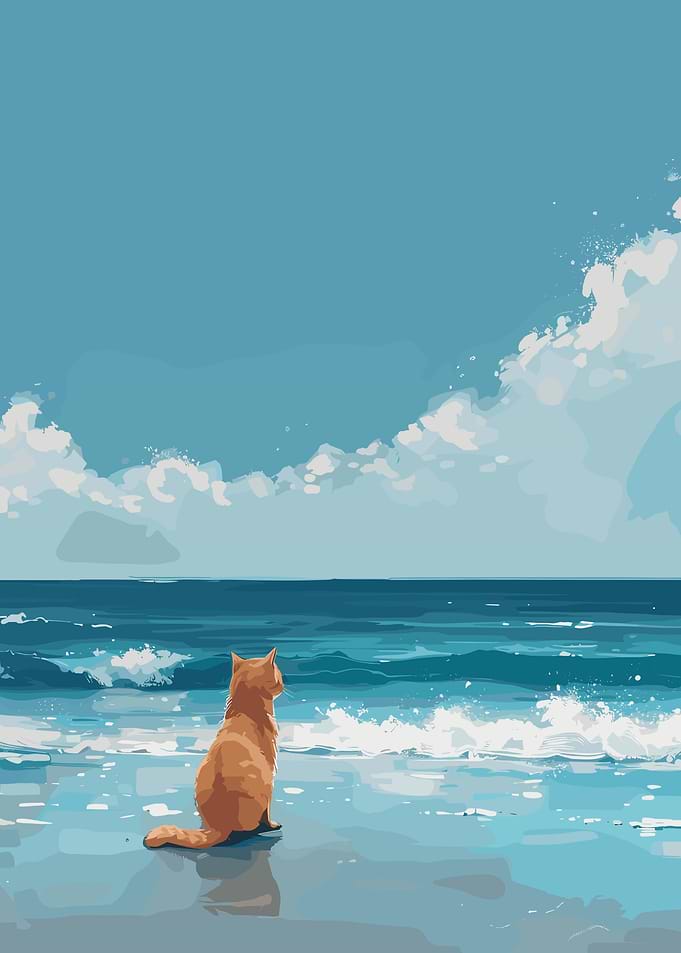 Cat on the beach