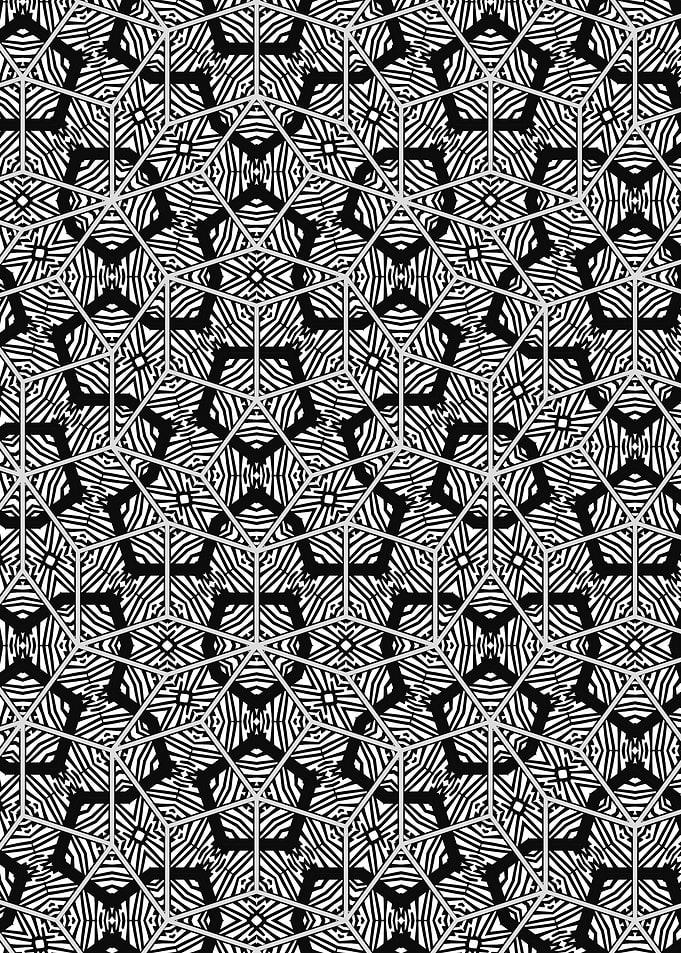 Radial Line Art in Hexagon Grid​​ Black and White Pattern