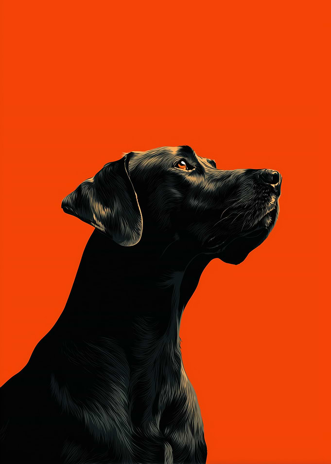 Black Dog Portrait on Orange Background