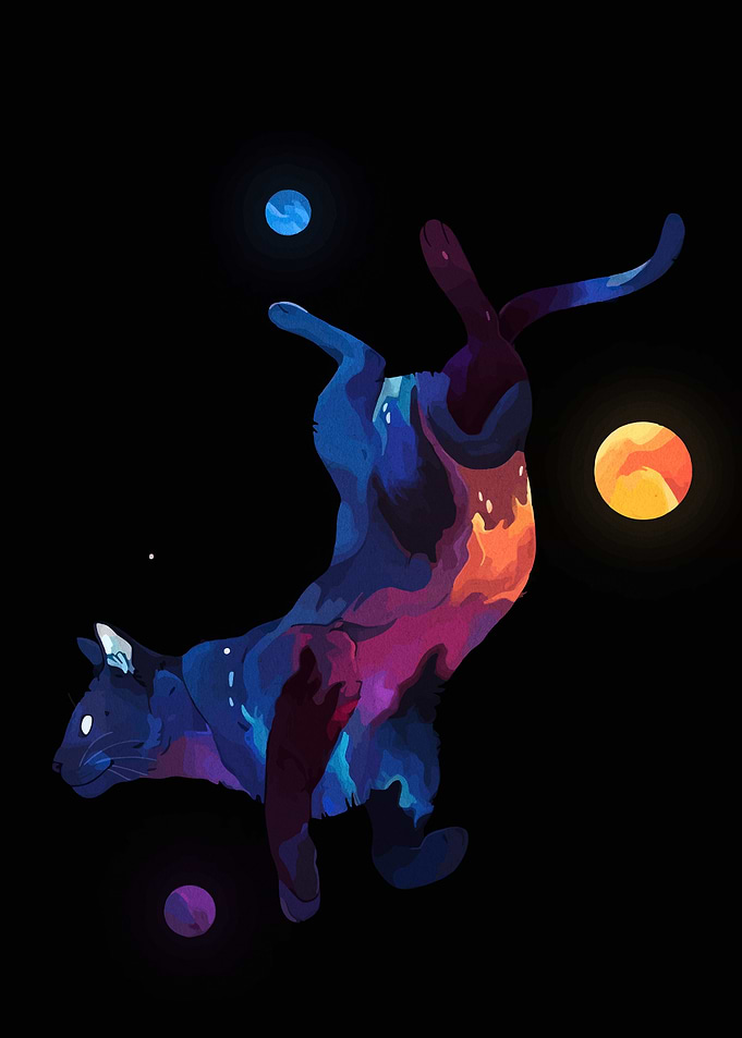 Cosmic Cat in Space