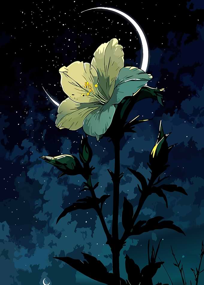 Night Bloom Under Crescent Moon