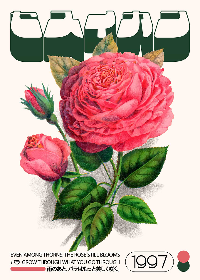 Rose Still Blooms Floral Art