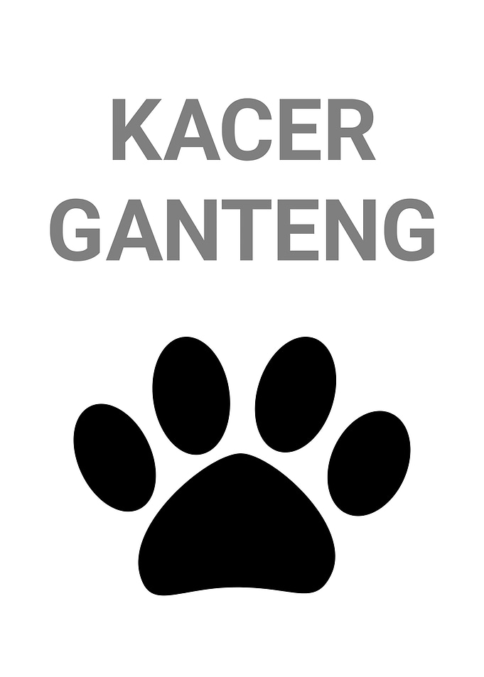 Kacer Ganteng Paw Print
