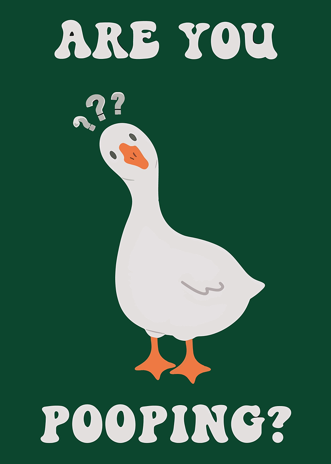 Are You Pooping? Goose