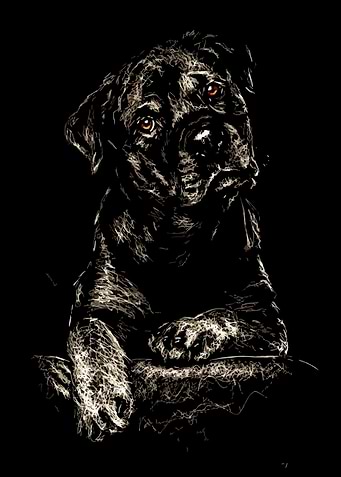 Dog Portrait in Dark Sketch Style