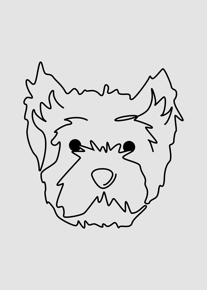 West Highland Terrier