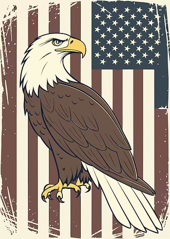 American Eagle with US Flag Backdrop