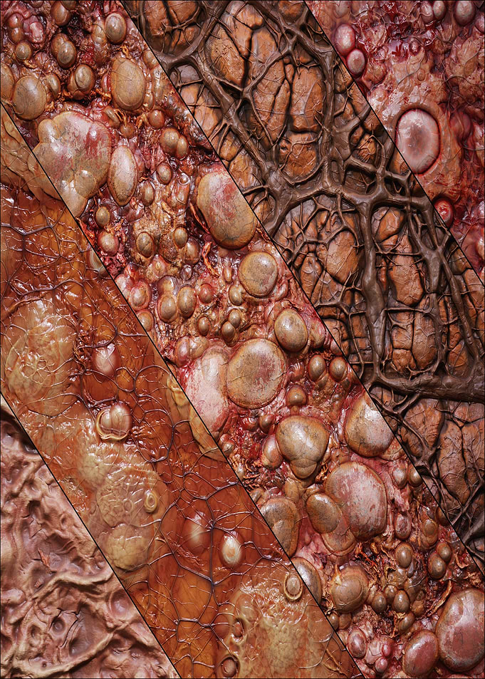 Organic Texture Collage