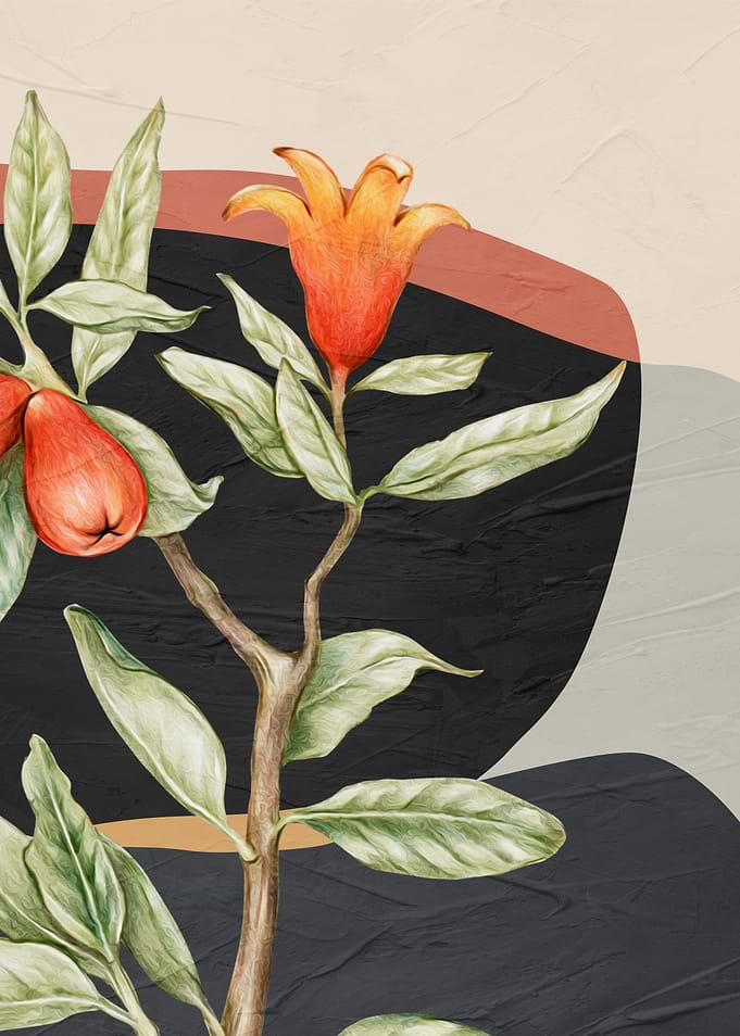 Pomegranate Branch with Abstract Background