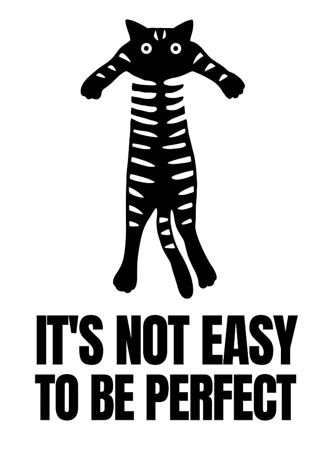 Funny Cat Perfection Quote