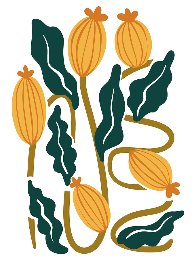 Abstract Floral Art with Yellow Pods
