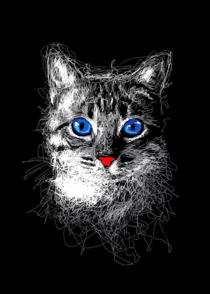 Abstract Cat Portrait with Bright Eyes