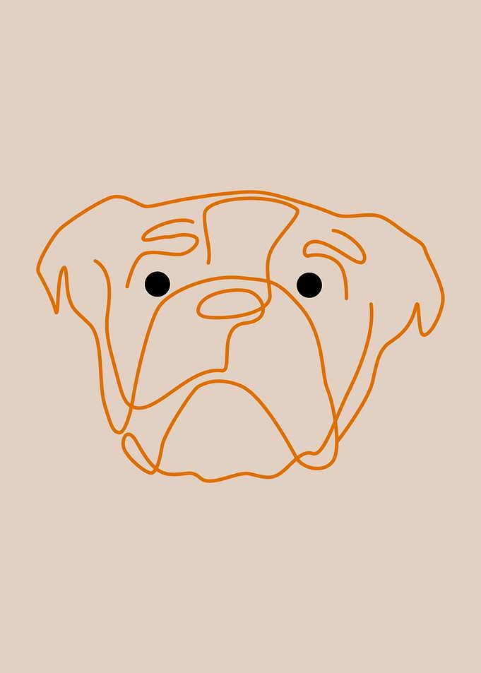 British Bulldog
