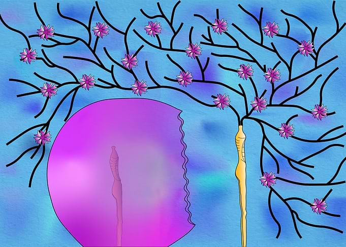 Abstract Tree with Flower-like Shapes
