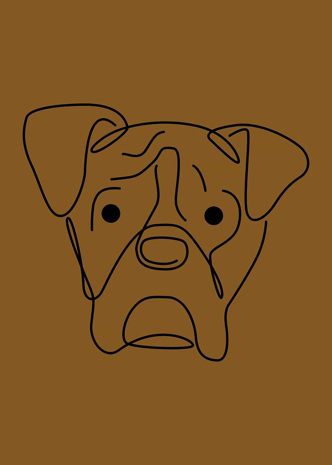 Boxer
