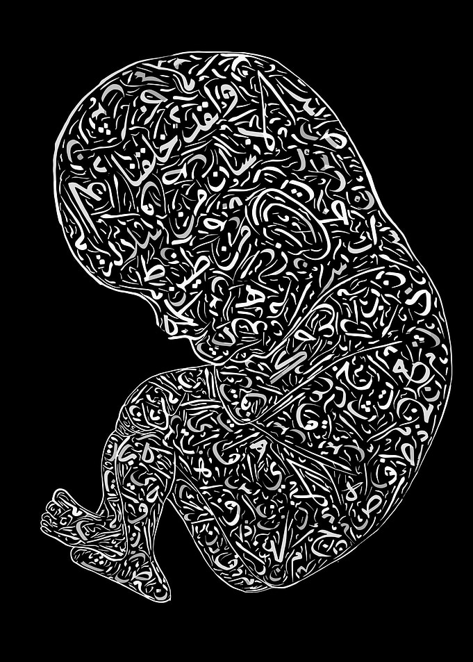Fetus Arabic Calligraphy Art
