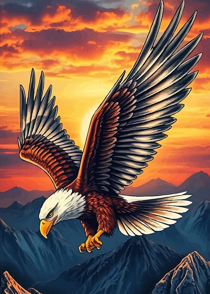 Eagle soaring mountains sunset