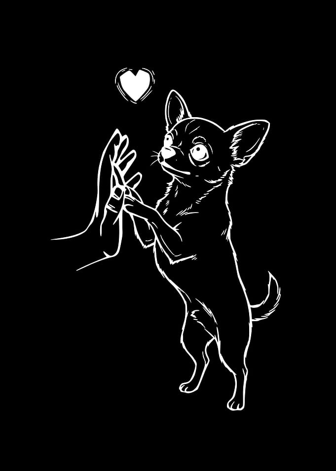 Chihuahua Lover Dog Owner