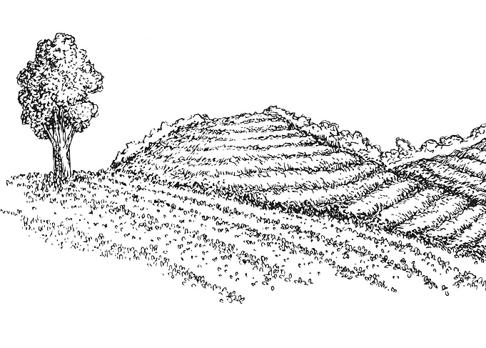 Black and White Landscape Drawing