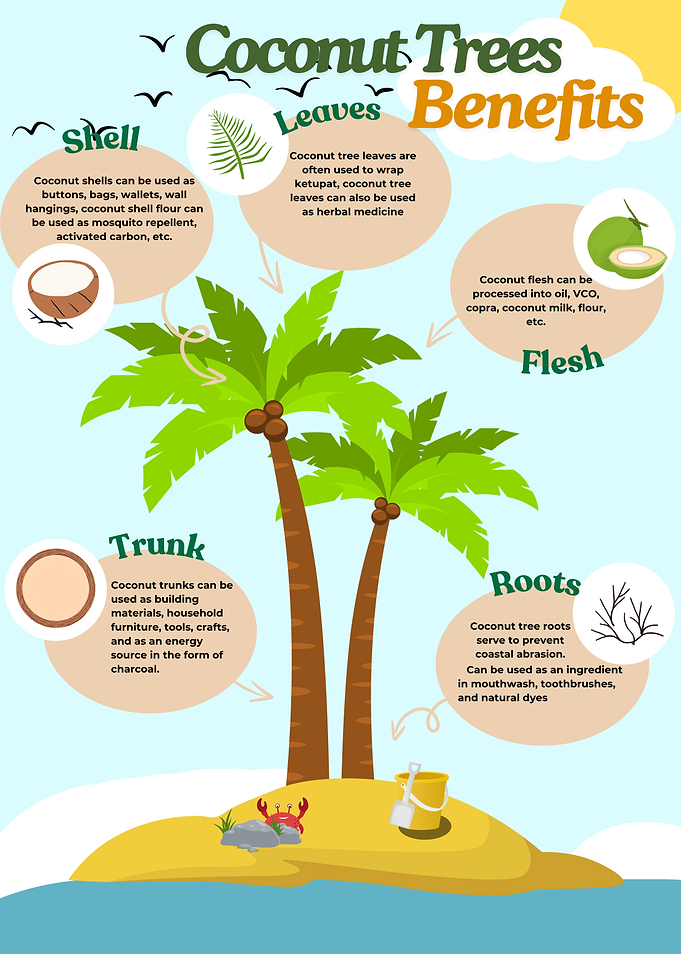 Coconut Tree Benefits Infographic