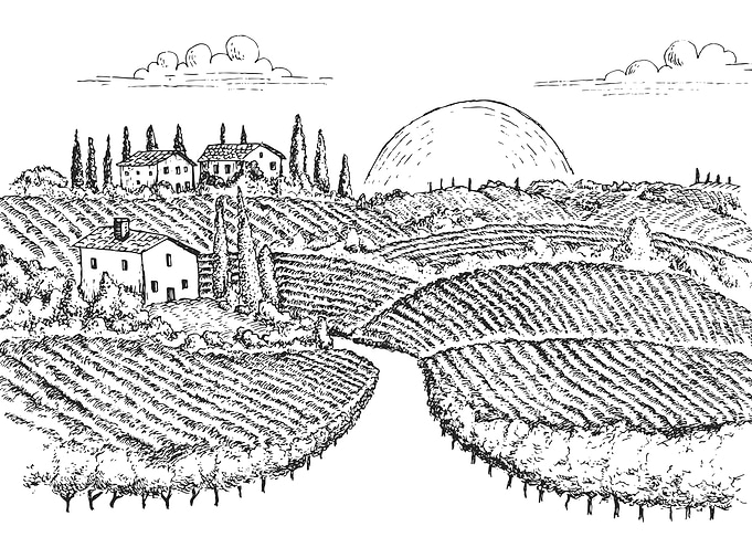 Vineyard Landscape Illustration