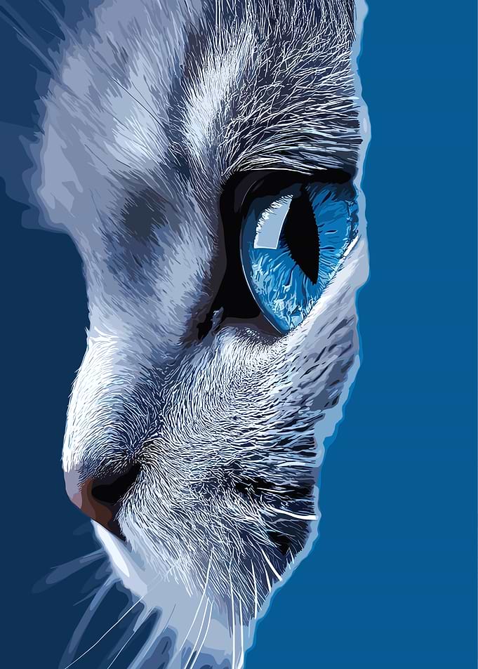 Cat Portrait with Blue Eye