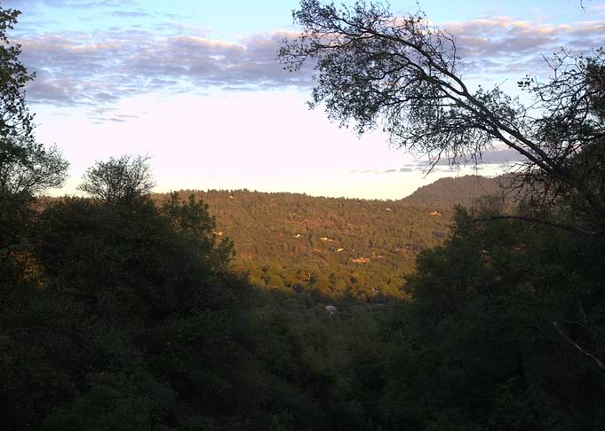 Hills and Trees Landscape