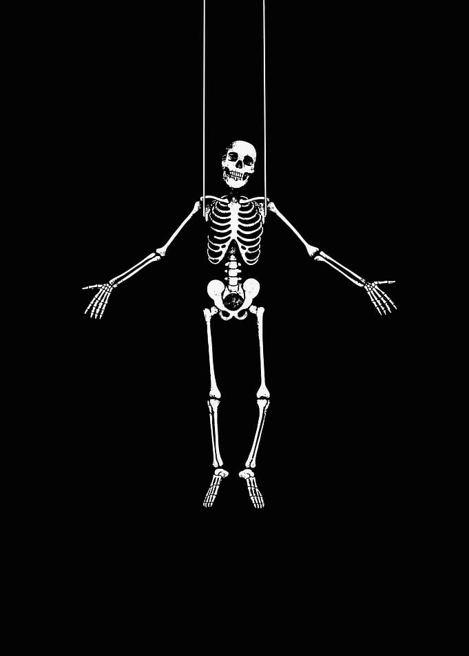 Skeleton Marionette on Black Background