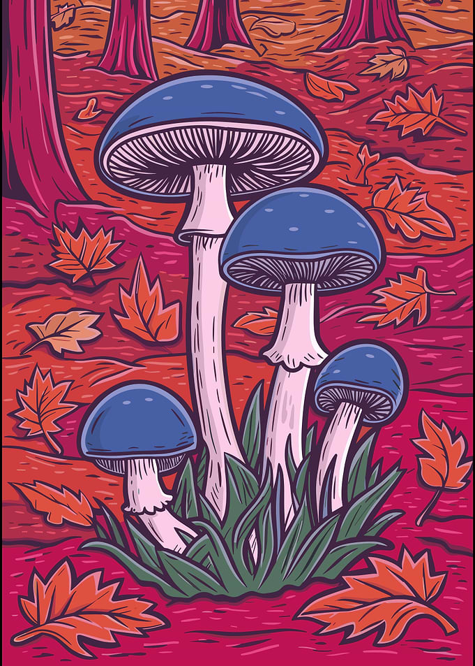Blue Mushrooms in Autumn Forest