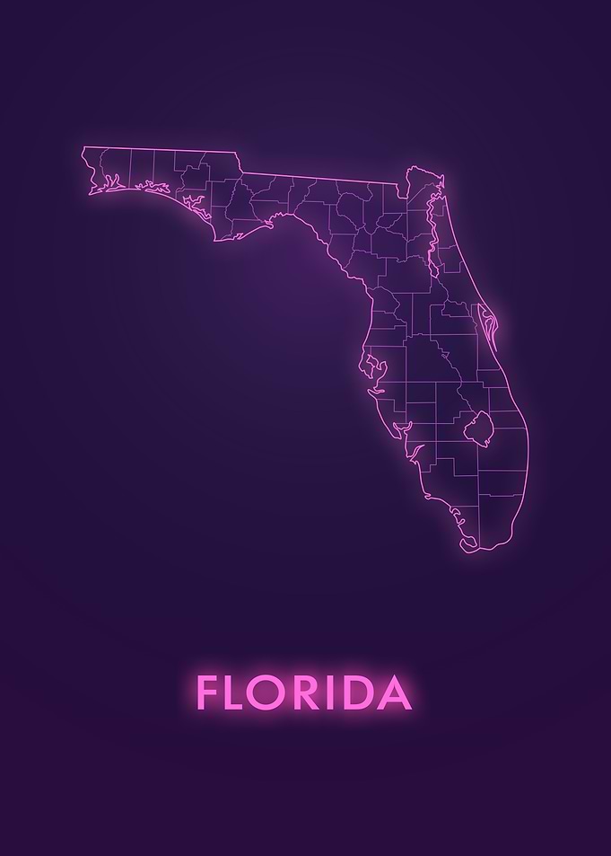 Pink Neon of Florida Map