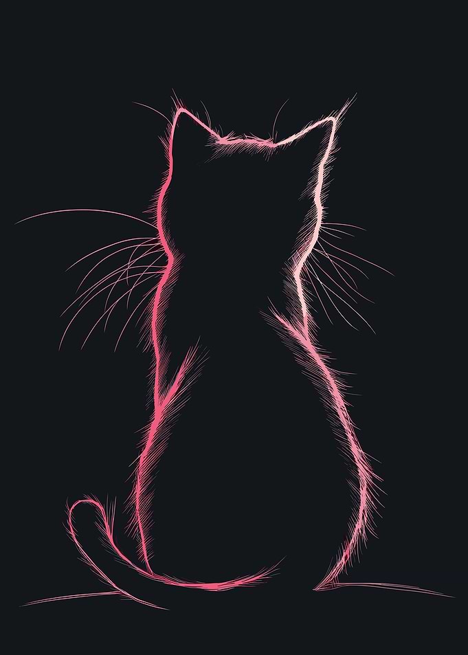Pink Cat Silhouette on Black Background