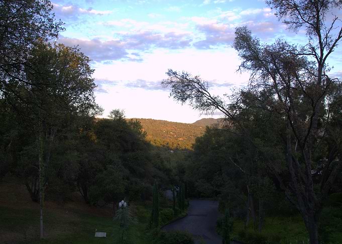 Scenic Landscape with Trees and Sky